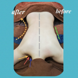 『いつもbeforeで体感してるけど、変化の経過がみたいな😀』
その言葉で見つかった✨
クビレの出現、首の伸びる事実♥️
『❗』
お客様の反応が答えでした🎵